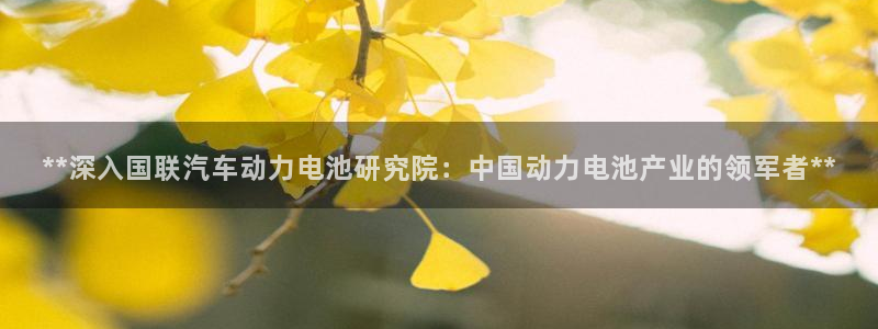 优发国际app