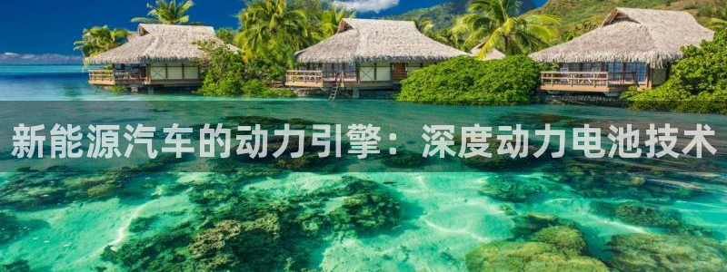 优发国际手机版唯一官网下载