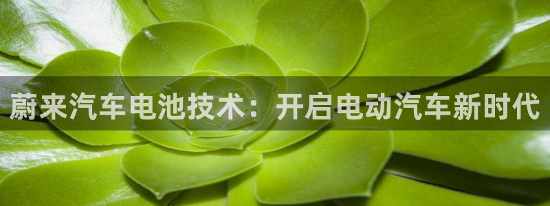 优发国际官网登陆