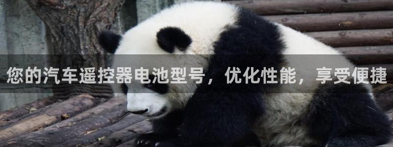 优发国际手机客户端官网