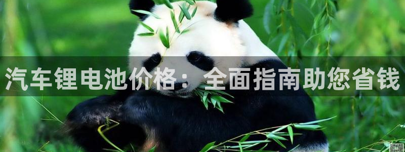 优发国际合并到哪里了