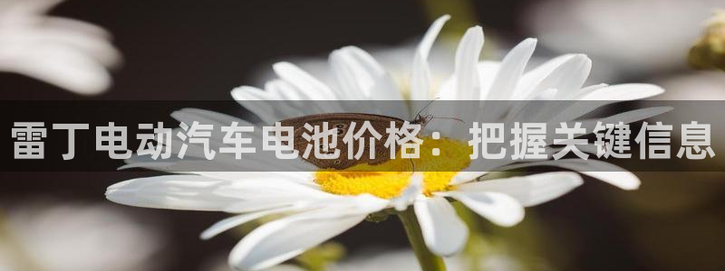 优发国际安卓版下载安装