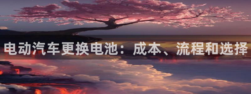 优发国际网站多少：电动汽车更换电池：成本、流程和选择
