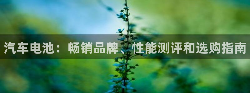 优发国际官方网手机版下载苹果：汽车电池：畅销品牌、性能测评和选购指南