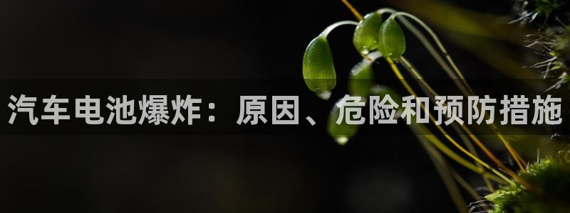 优发国际游戏网站