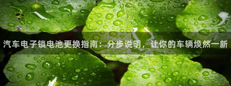 优发国际官方网手机版app