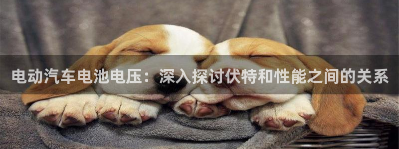 优发国际平台