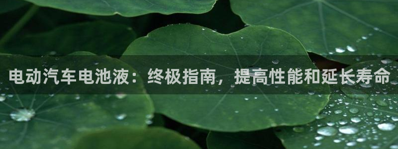 优发国际官方下载app