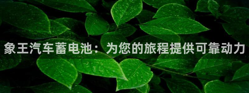 优发国际平台app下载安装