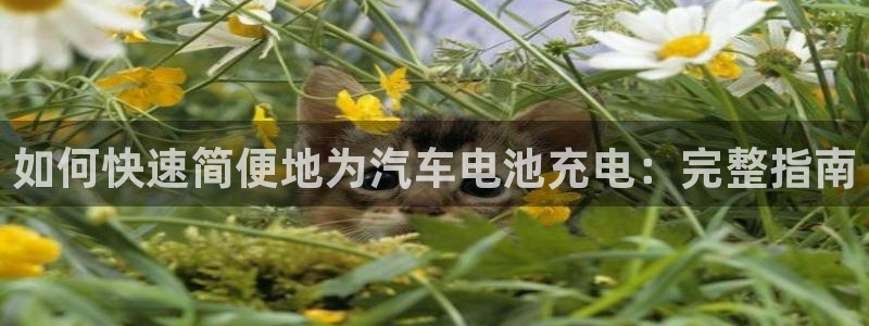 优发国际手机版唯一官网