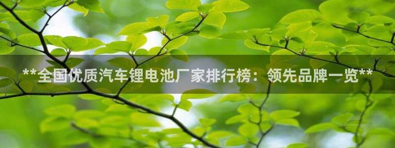 优发国际平台u8怎么样：**全国优质汽车锂电池厂家排行榜：领先品牌一览**