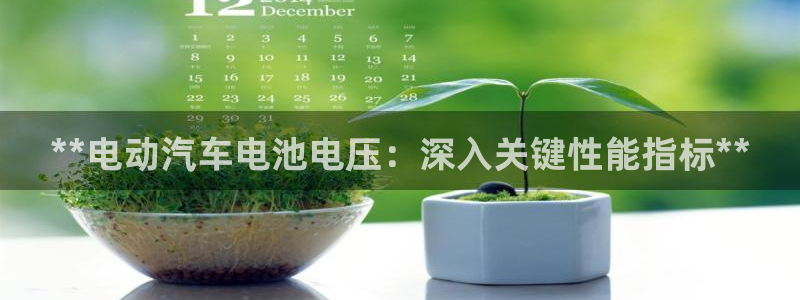 优发国际手机版下载
