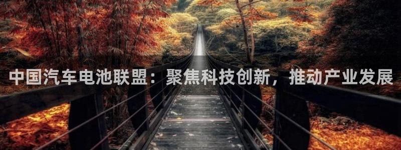 优发国际网官网17k8