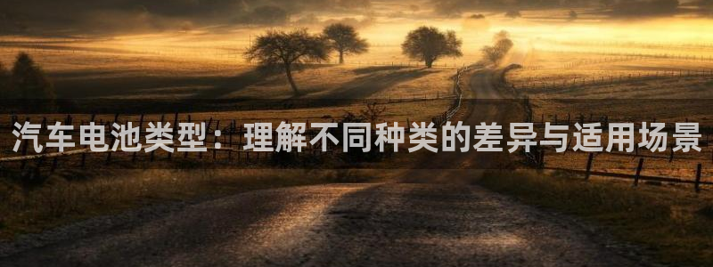 优发国际手机客户端下载官网：汽车电池类型：理解不同种类的差异与适用场景