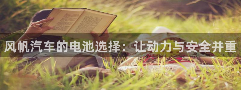 优发国际手机app下载安装官网：风帆汽车的电池选择：让动力与安全并重