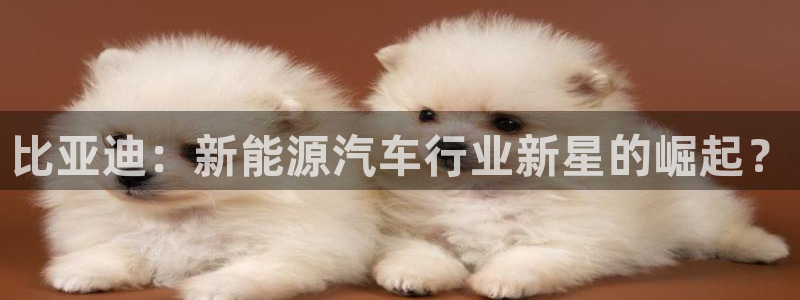 优发国际网站多少：比亚迪：新能源汽车行业新星的崛起？