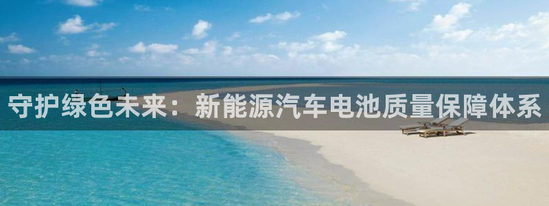 优发国际安卓版下载安装：守护绿色未来：新能源汽车电池质量保障体系