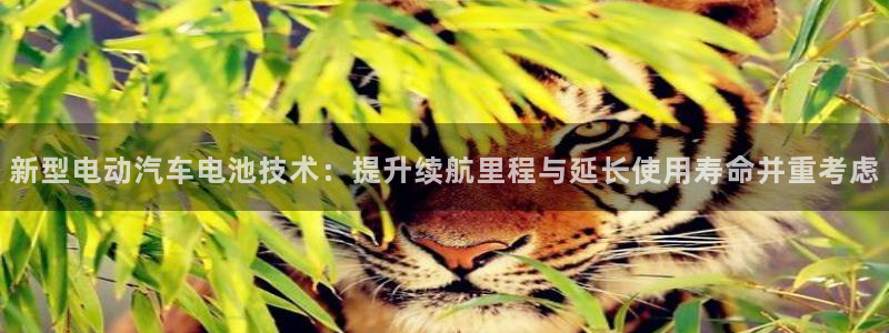 优发国际一首页：新型电动汽车电池技术：提升续航里程与延长使用寿命并重考虑