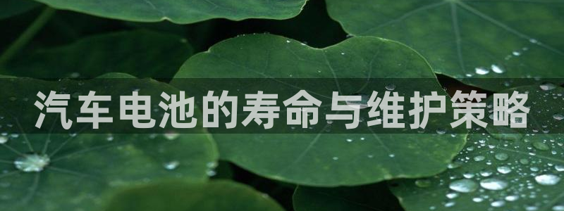 优发国际app官网下载安装手机版：汽车电池的寿命与维护策略