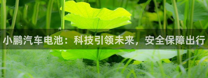 优发国际手机客户端官网首页
