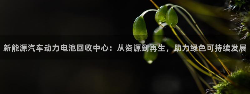 优发娱乐国际线上营业时间：新能源汽车动力电池回收中心：从资源到再生，助力绿色可持续发展
