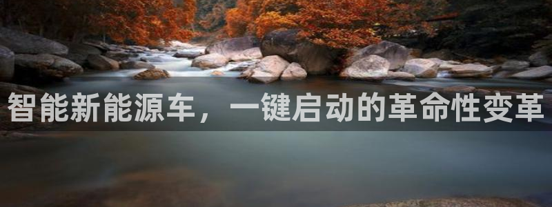 优发国际youfa966