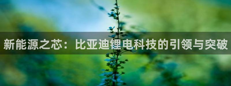 u优发国际首页：新能源之芯：比亚迪锂电科技的引领与突破