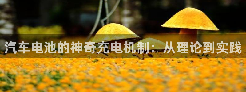 优发国际集团股份有限公司：汽车电池的神奇充电机制：从理论到实践