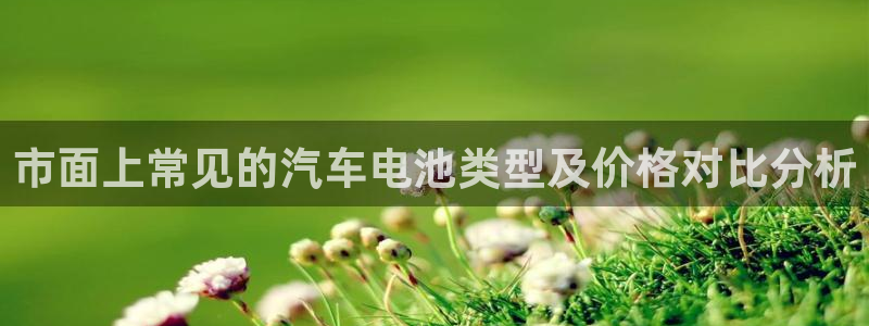 优发国际平台：市面上常见的汽车电池类型及价格对比分析