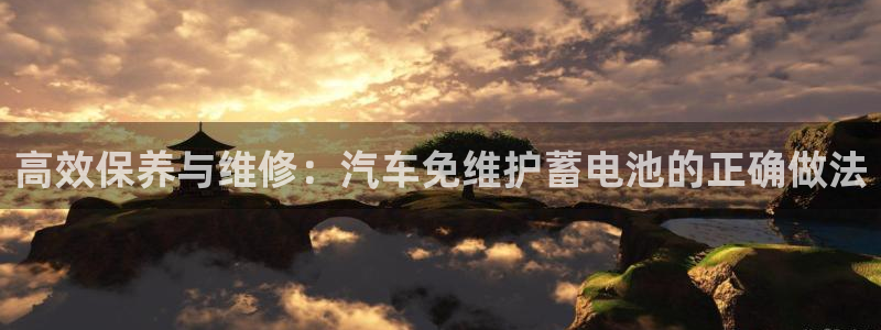优发国际手机app下载安装最新版：高效保养与维修：汽车免维护蓄电池的正确做法
