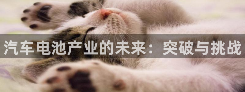 优发国际官网手机号：汽车电池产业的未来：突破与挑战