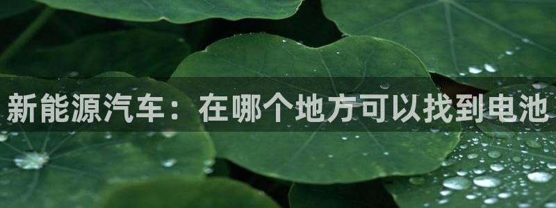 优发国际亚洲平台：新能源汽车：在哪个地方可以找到电池