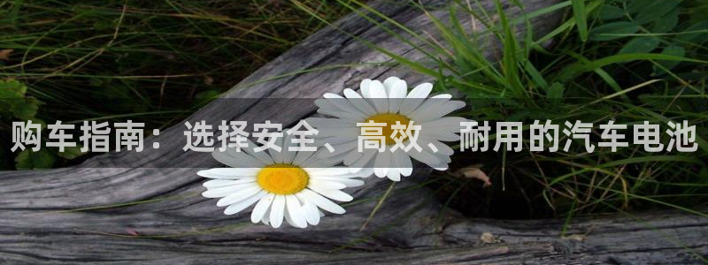 优发国际平台u8是什么软件
