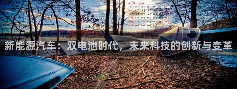 优发国际是大平台吗知乎：新能源汽车：双电池时代，未来科技的创新与变革