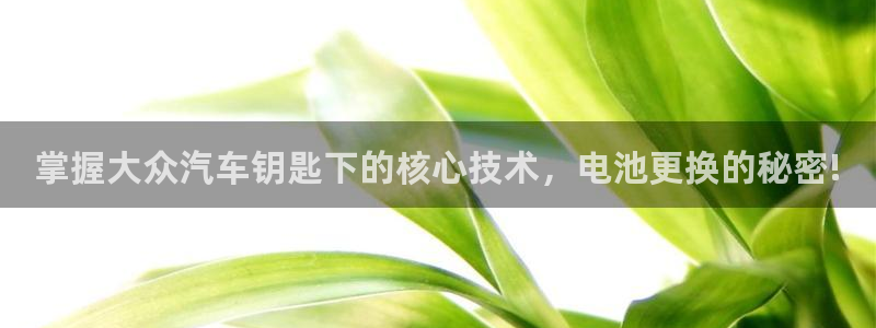 优发国际手机版官网下载：掌握大众汽车钥匙下的核心技术，电池更换的秘密!