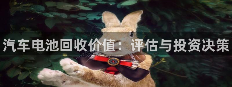 优发国际官网手：汽车电池回收价值：评估与投资决策
