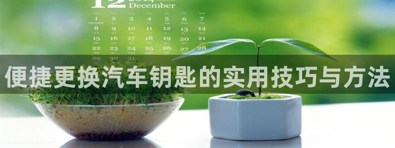 优发国际官网,首页：便捷更换汽车钥匙的实用技巧与方法