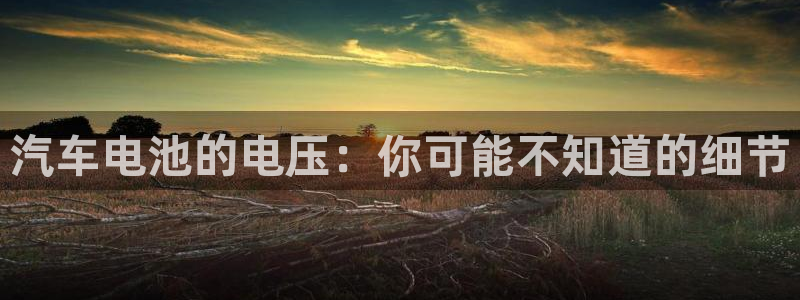 优发国际首页首页y6