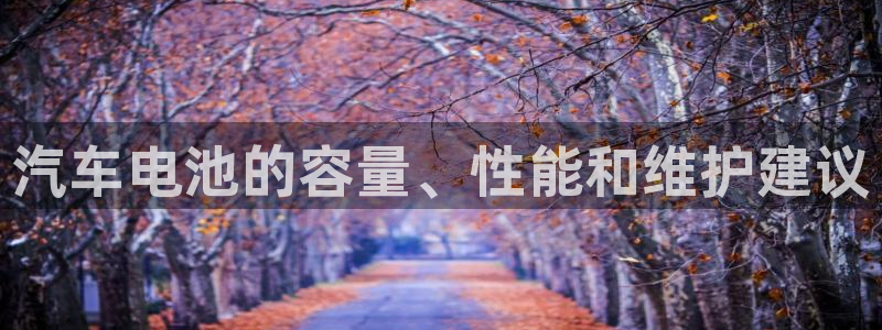 优发国际vip网址
