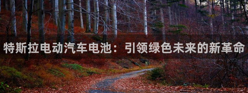 优发国际手机app下载安装：特斯拉电动汽车电池：引领绿色未来的新革命