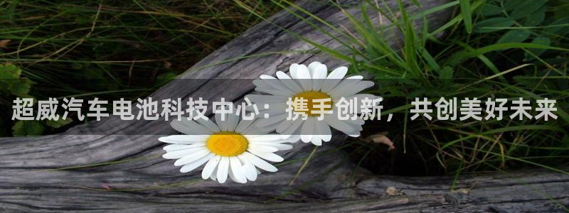 优发国际平台网站：超威汽车电池科技中心：携手创新，共创美好未来