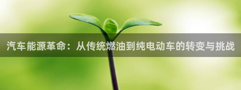 优发国际集团股份有限公司招聘：汽车能源革命：从传统燃油到纯电动车的转变与挑战