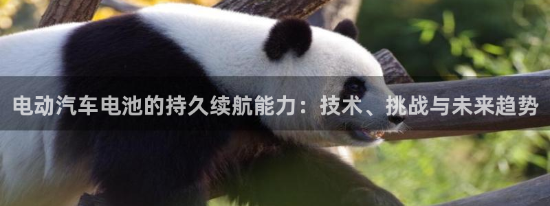 优发国际游戏17岁能玩吗