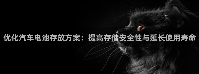 优发国际网官网：优化汽车电池存放方案：提高存储安全性与延长使用寿命