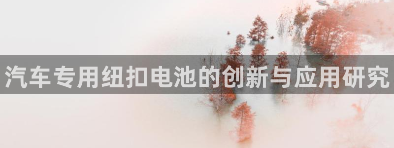 优发国际网站多少：汽车专用纽扣电池的创新与应用研究