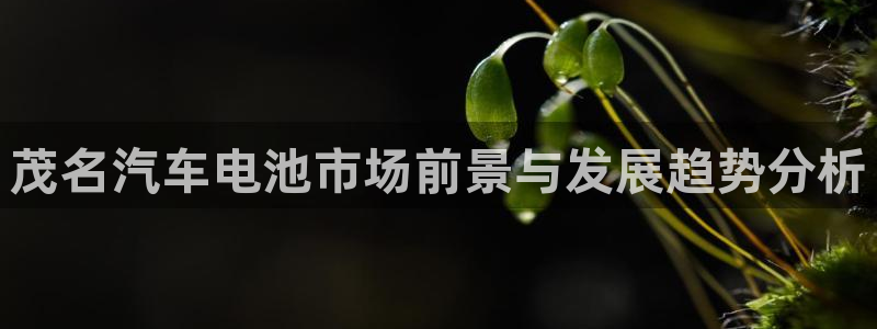 优发国际手机客户端下载不了
