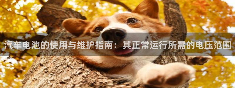 优发国际官网网站：汽车电池的使用与维护指