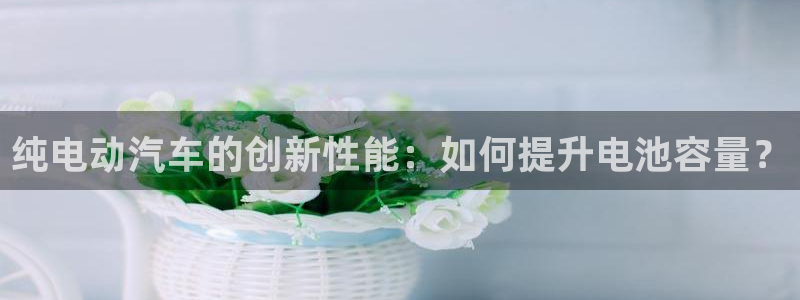 优发国际登陆：纯电动汽车的创新性能：如何提升电池容量？