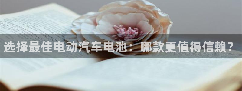 优发国际官网下载安装：选择最佳电动汽车电池：哪款更值得信赖？
