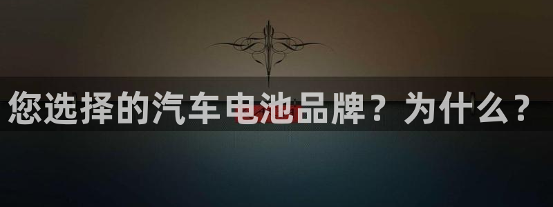 优发国际游戏网站：您选择的汽车电池品牌？为什么？